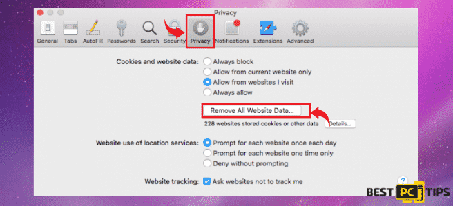 Remove All Website Data in Safari