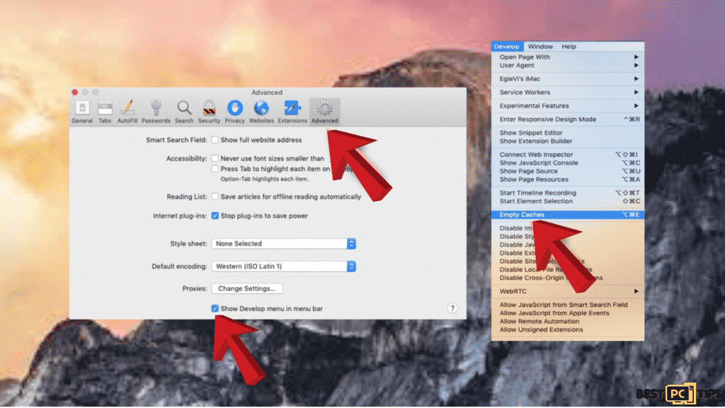 complete guide to removing FocusGuide mac virus banner- emptry caches