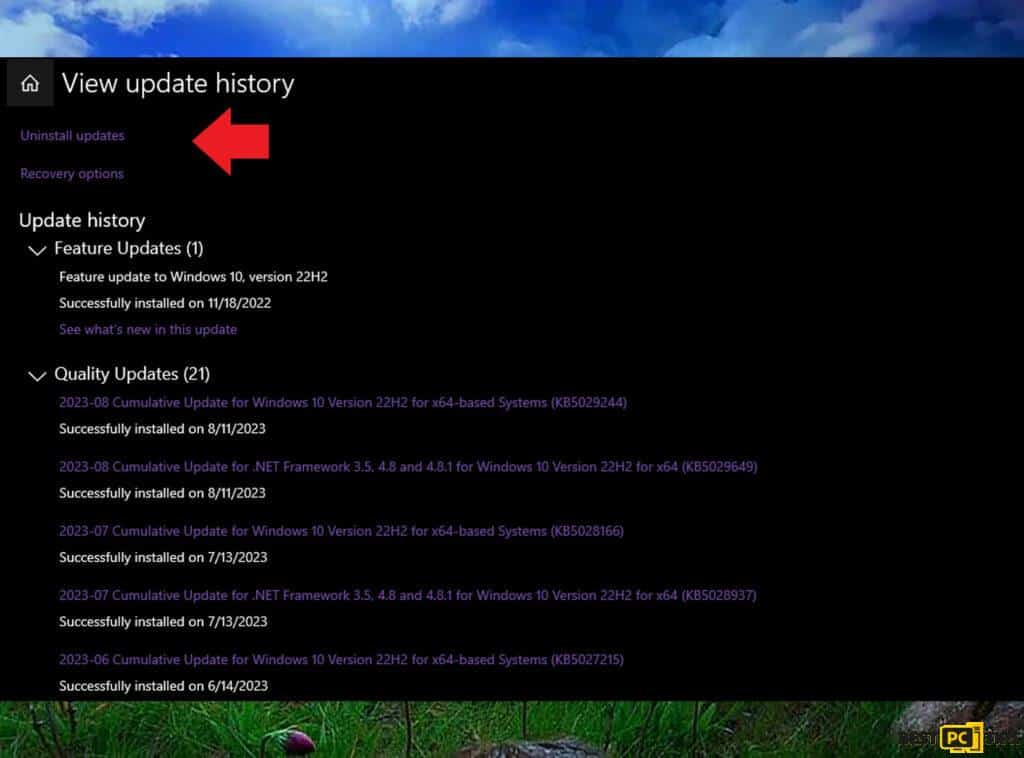 Revert Recent Windows Updates